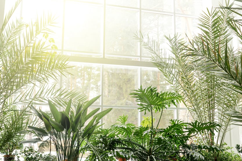 Embrace Earth-Friendly Design with Biophilic Elements